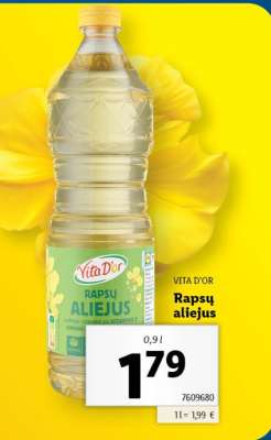 Dulkių siurblys