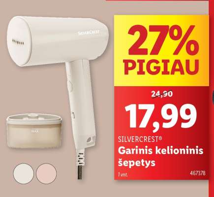 Garinis kelioninis šepetys