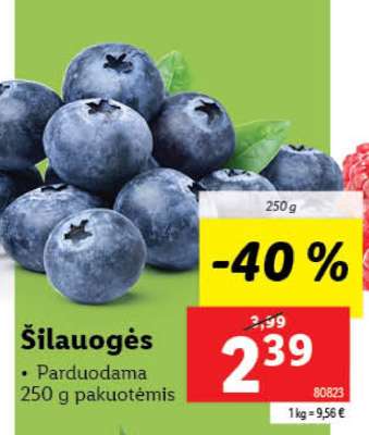 Šilauogės