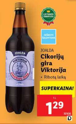 Cikorijų gira Viktorija