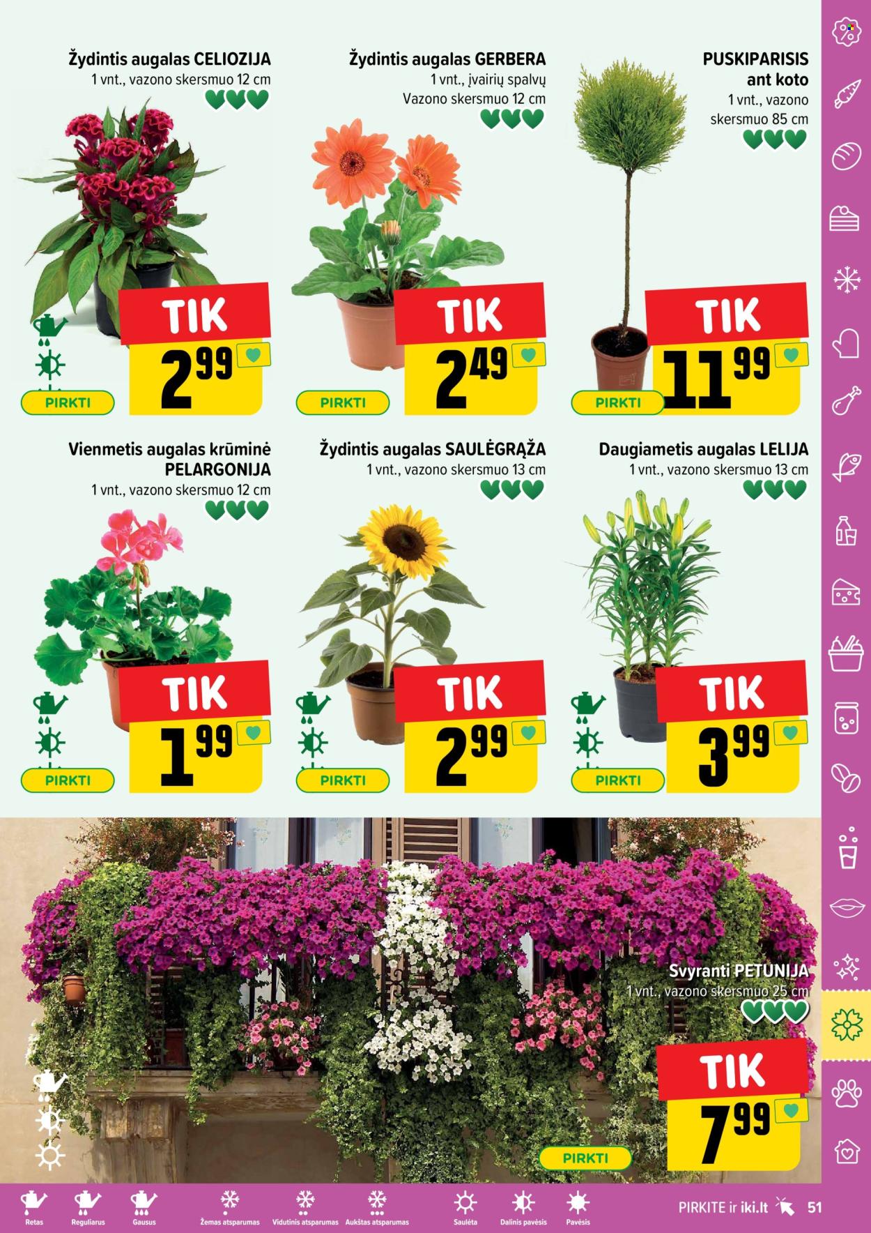 iki leidinys - 2025 05 05 - 2025 05 11. Puslapis 1