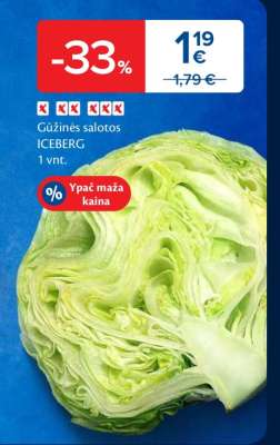 Gūžinės salotos ICEBERG
