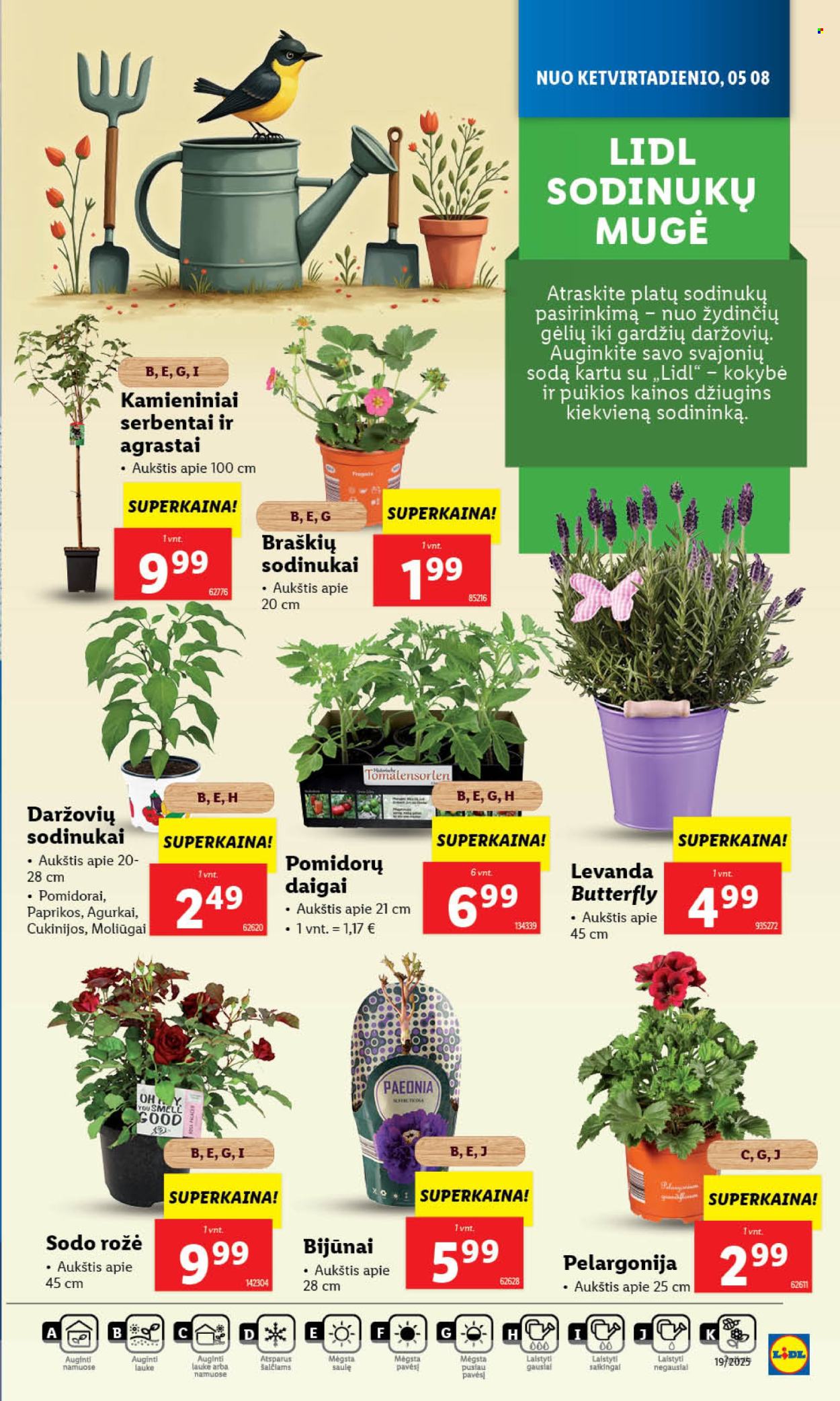 Lidl leidinys - 2025 05 08 - 2025 05 11. Puslapis 1