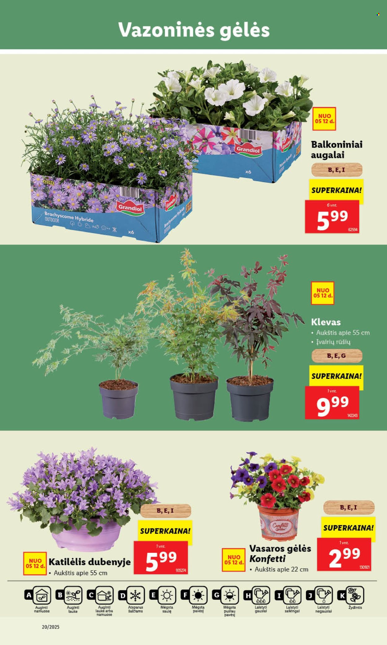 Lidl leidinys - 2025 05 12 - 2025 05 18. Puslapis 1