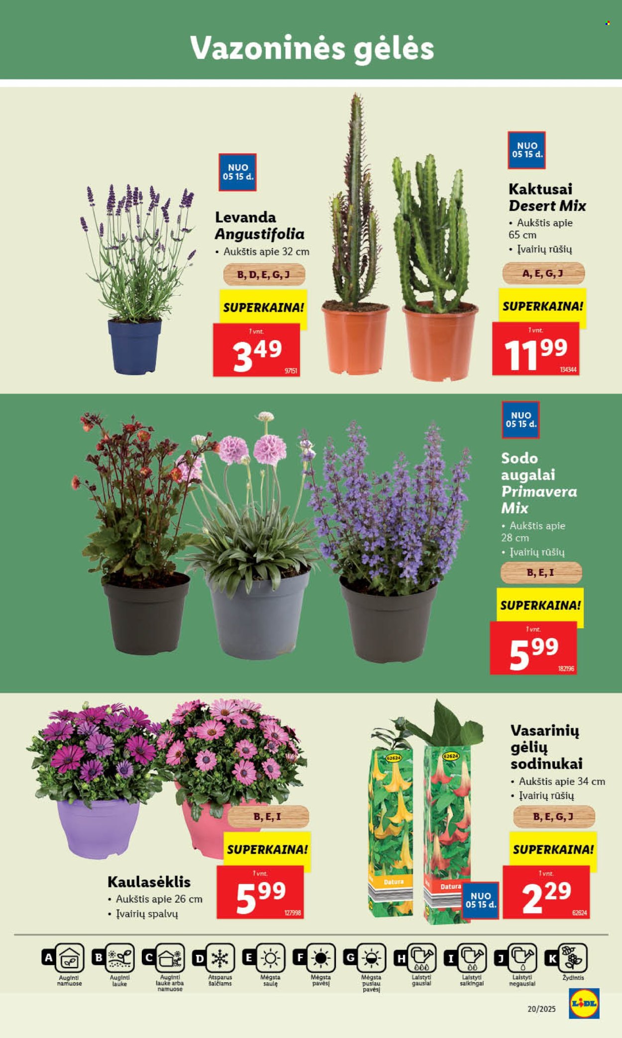 Lidl leidinys - 2025 05 12 - 2025 05 18. Puslapis 1