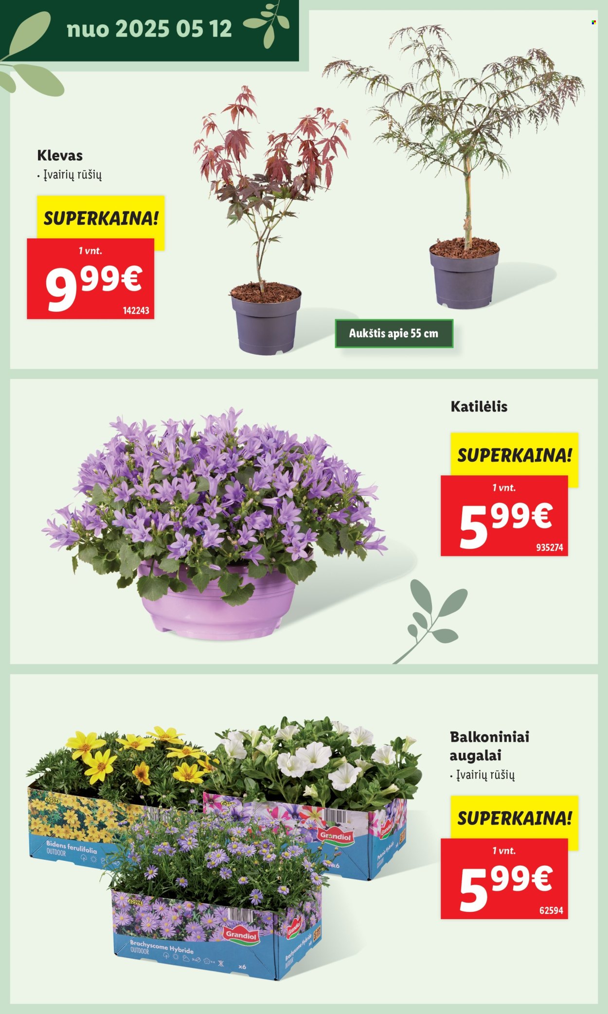 Lidl leidinys. Puslapis 1