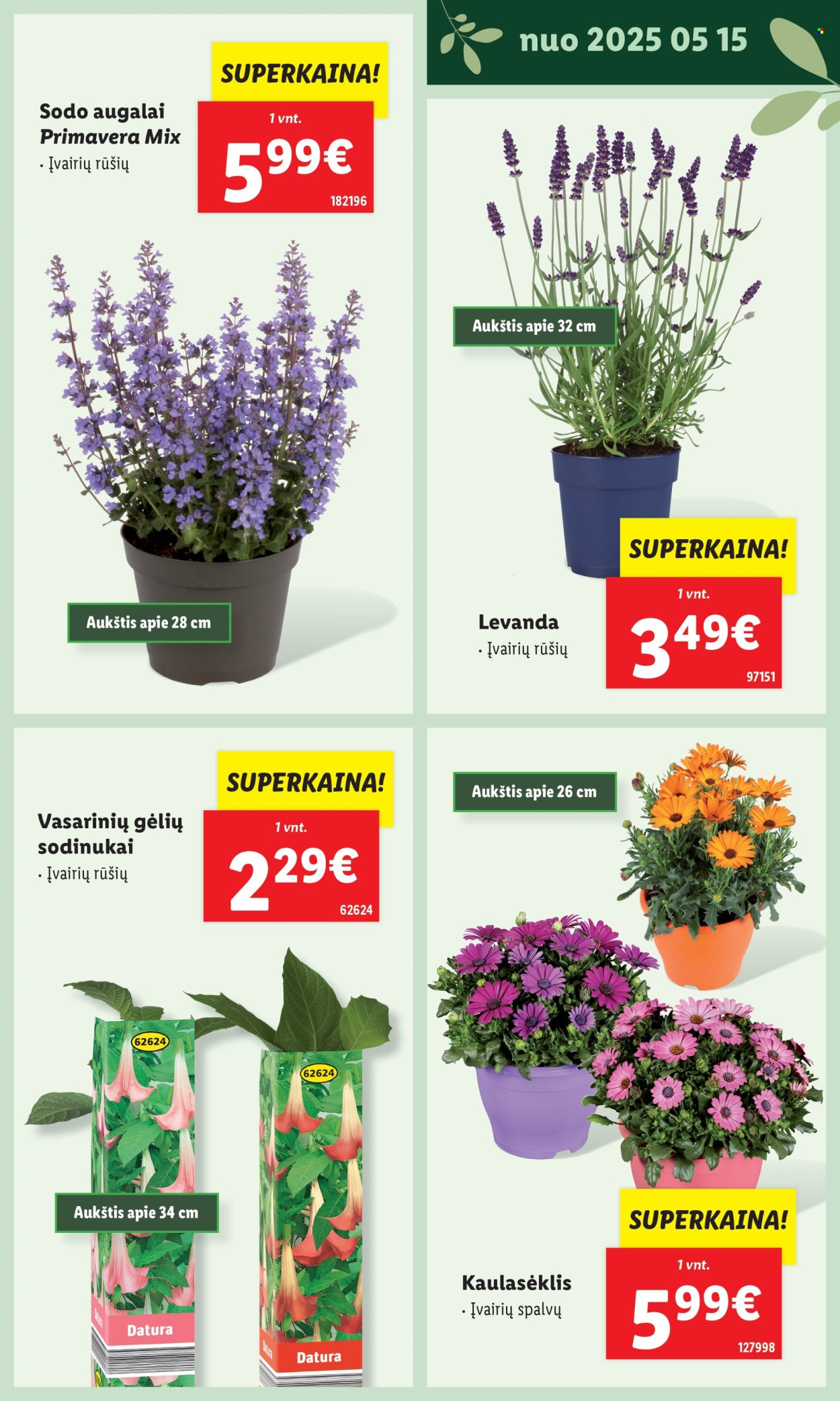 Lidl leidinys. Puslapis 1