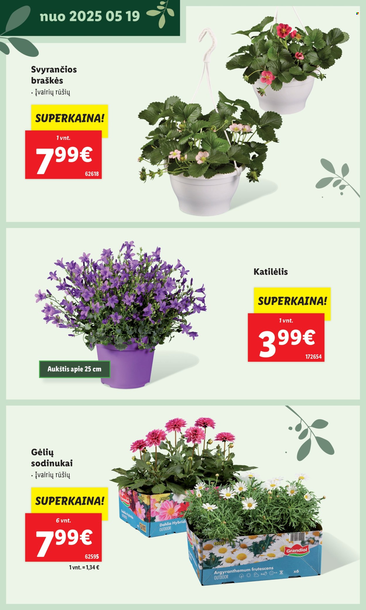 Lidl leidinys. Puslapis 1