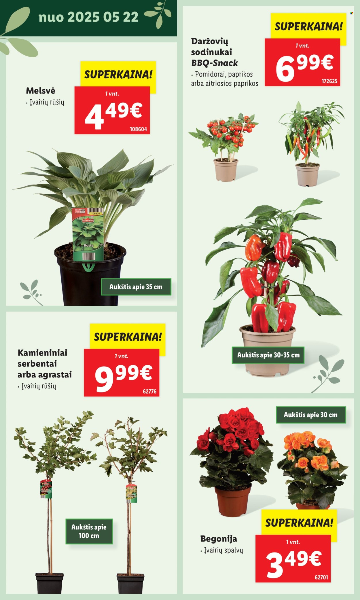 Lidl leidinys. Puslapis 1