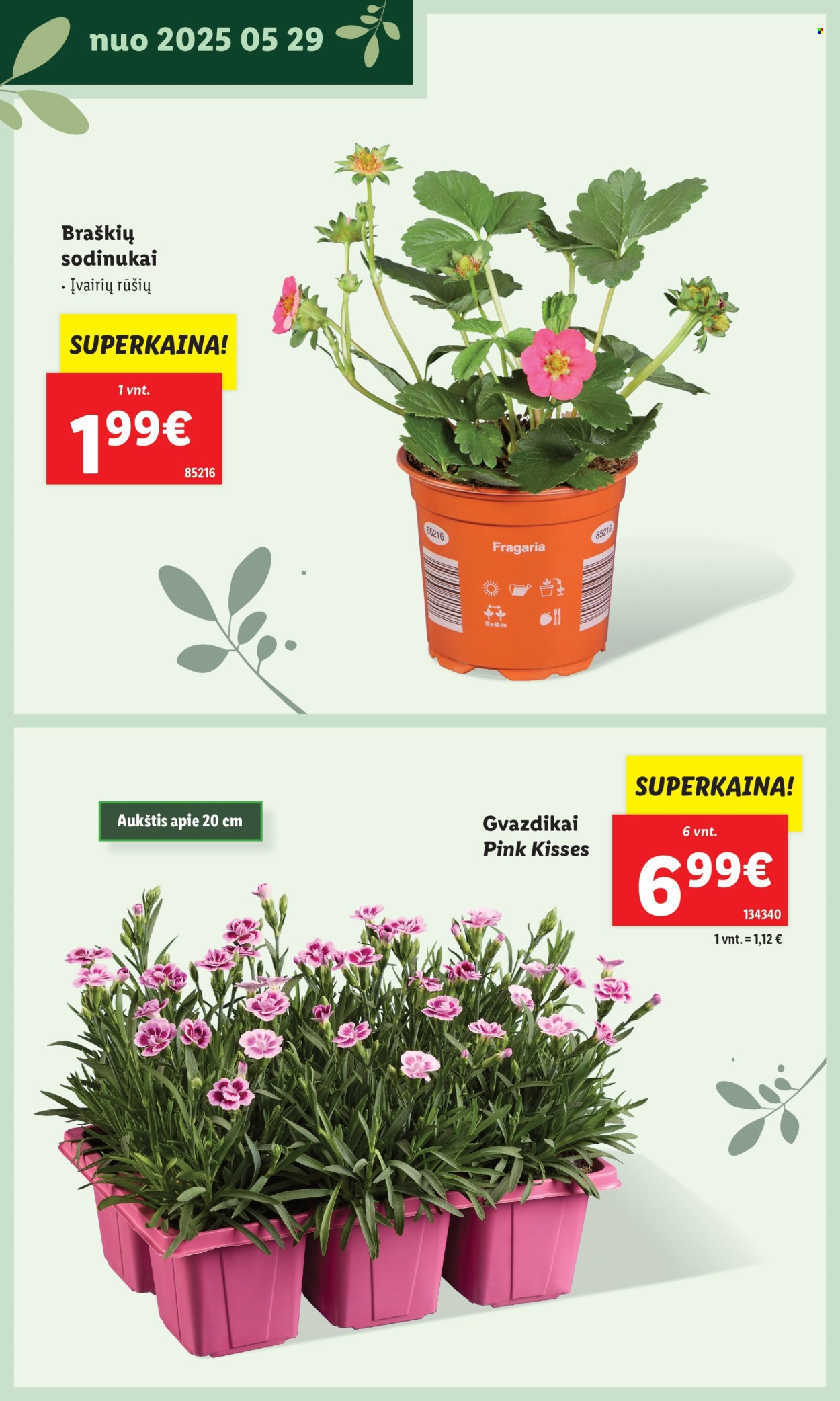 Lidl leidinys. Puslapis 1