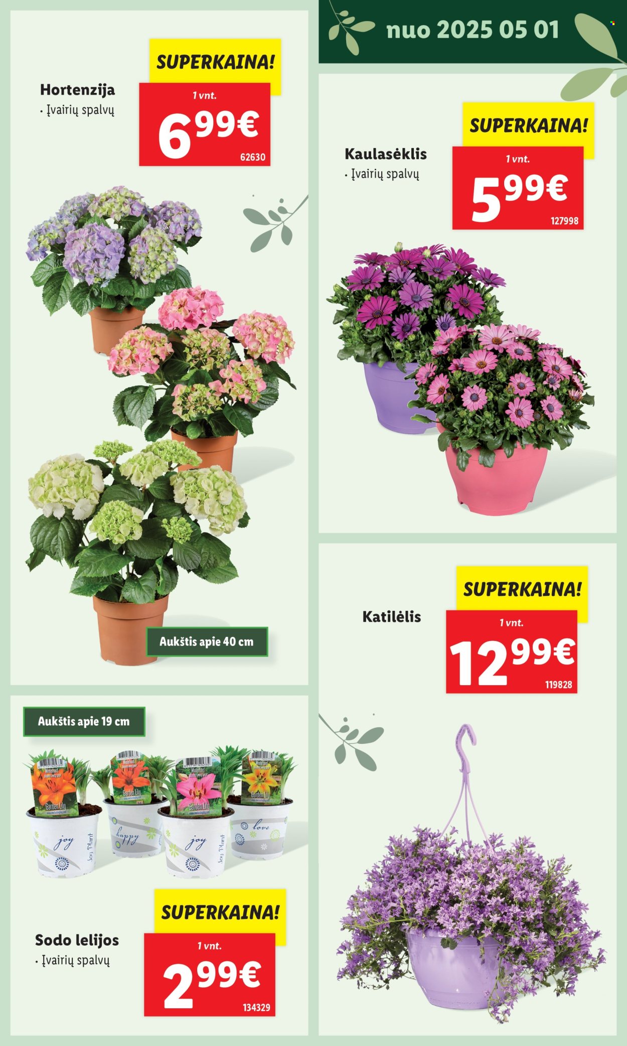 Lidl leidinys. Puslapis 1