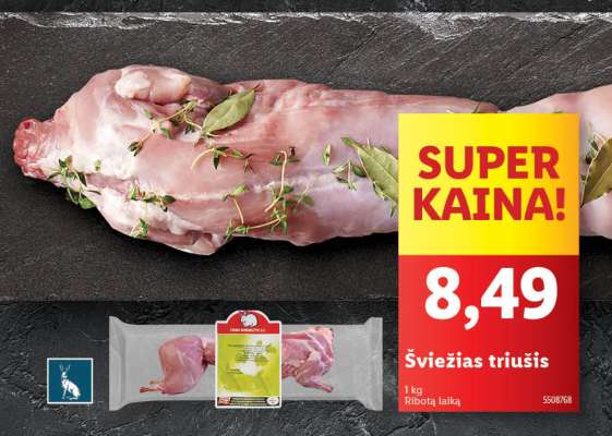 Šviežias triušis