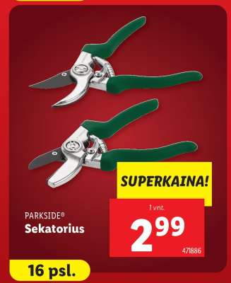 Sekatorius